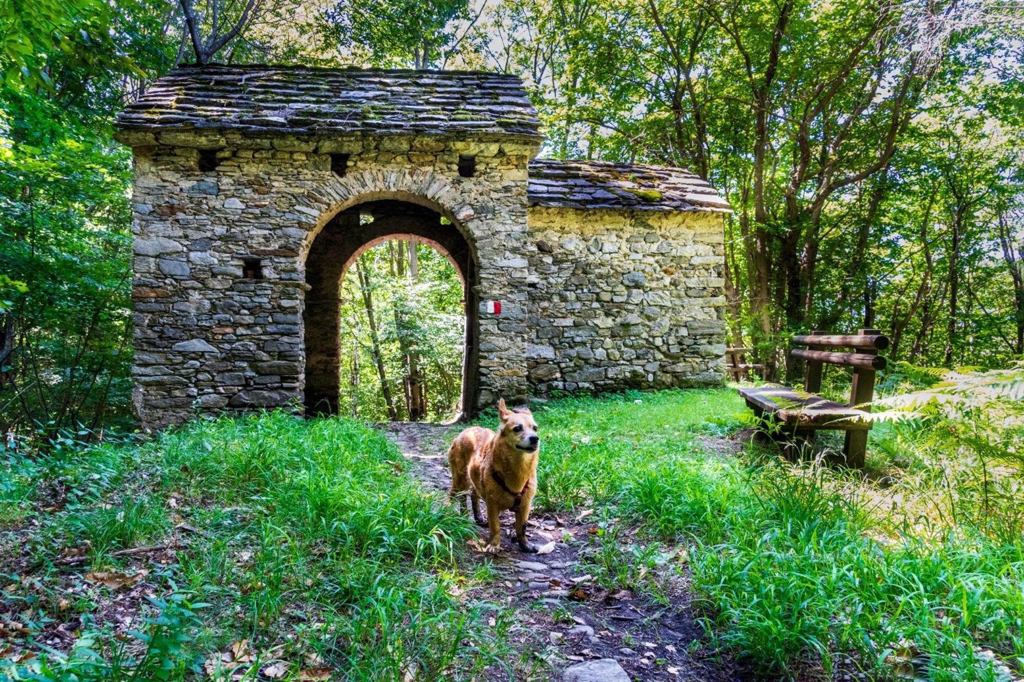 Casa Del Borgo "Aria & Acqua" Sul Lago Maggiore Maccagno Zewnętrze zdjęcie