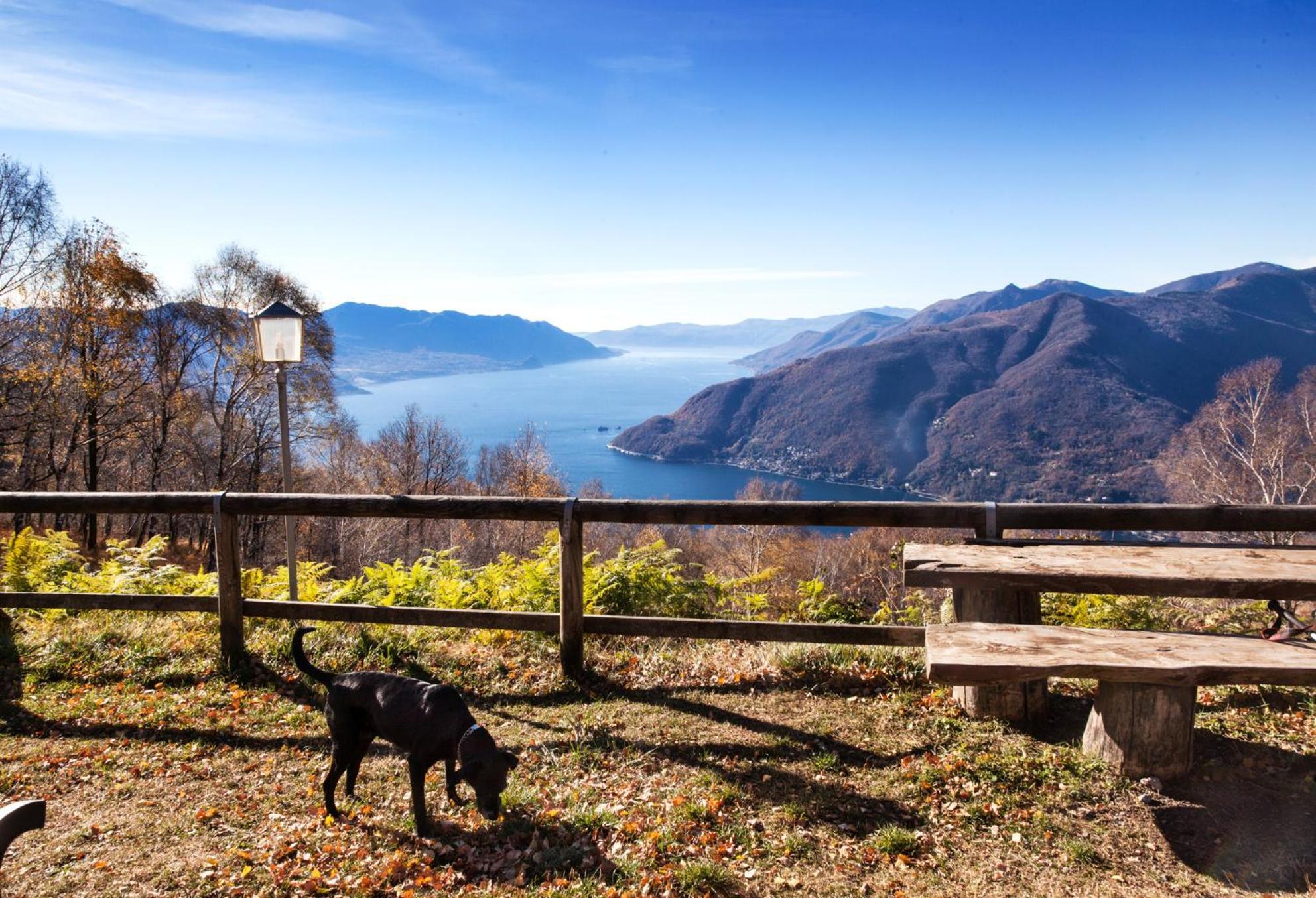 Casa Del Borgo "Aria & Acqua" Sul Lago Maggiore Maccagno Zewnętrze zdjęcie